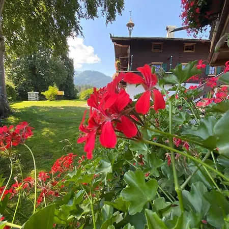 Hof Oberhaus Farma Kitzbühel