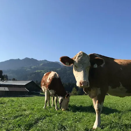Vakantieboerderij Hof Oberhaus Kitzbühel