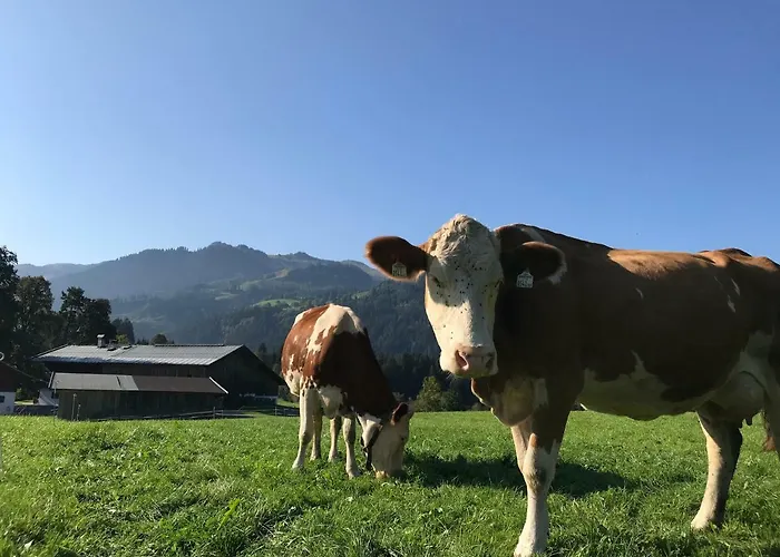 ファームステイ Hof Oberhaus キッツビュール