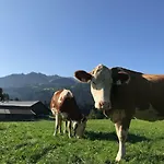 Çiftlik konaklama Hof Oberhaus Kitzbühel